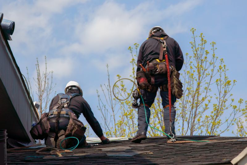 Professional Roof Repair
